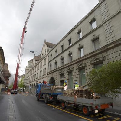 Fliegende Bäume in Zürich